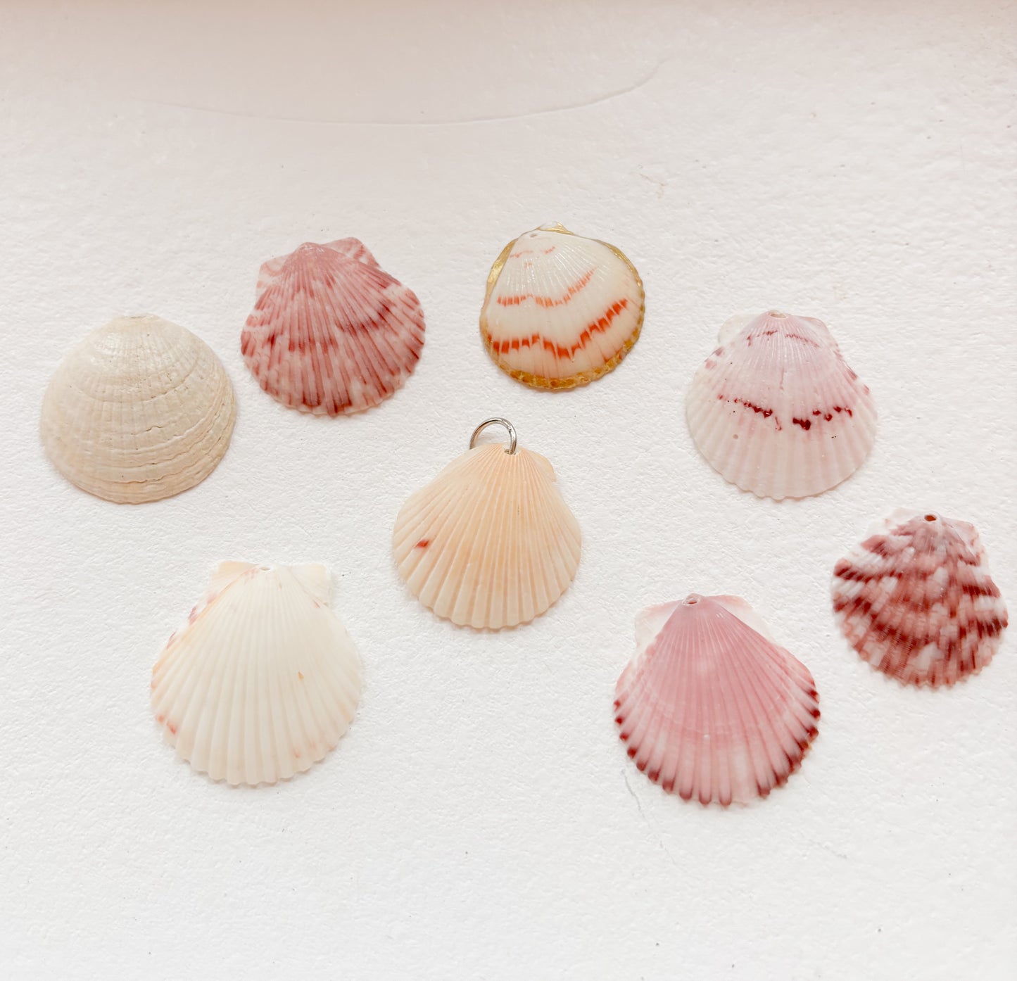 Medium Shell charms