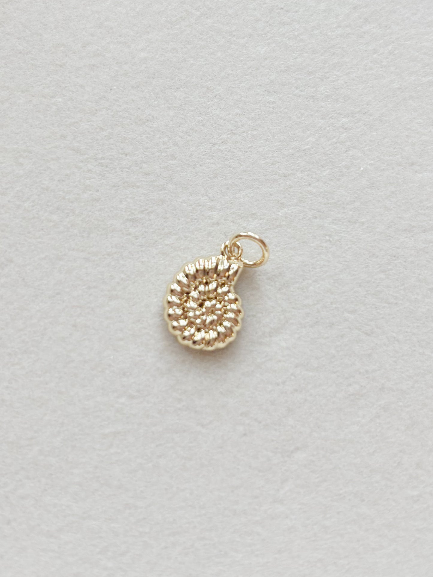 Sundial shell charm