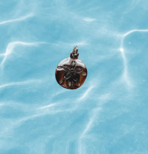 Sand dollar charm