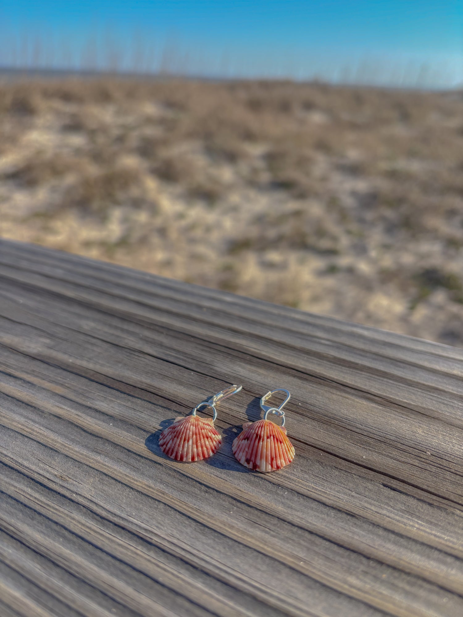 Calico shell earrings 