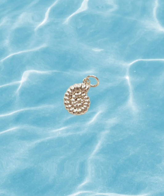 Sundial shell charm