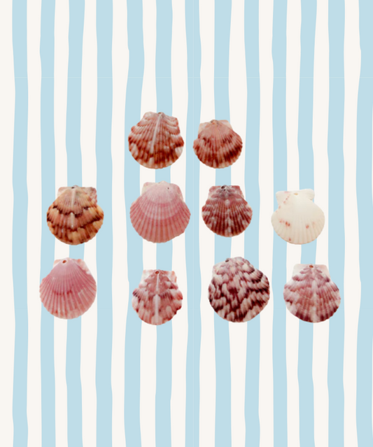 Small Shell Charms