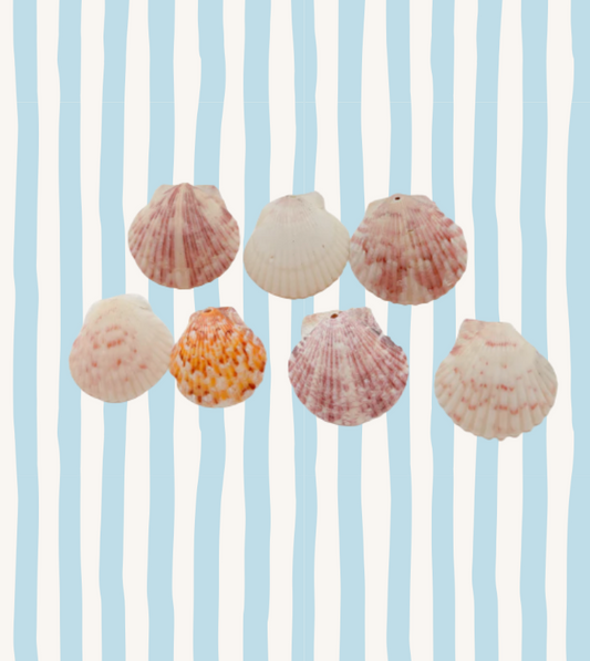 Large shell charms