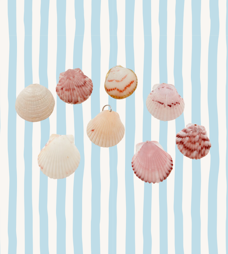 Medium Shell charms